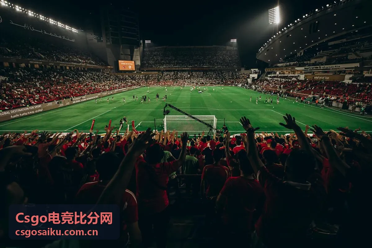Csgo电竞比分网武器数据分析